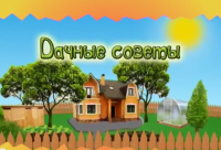 Смотрите Дачные советы в четверг 22.06.2017 г. в 19.20 на телеканале Губерния