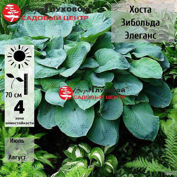 Основное изображение товара