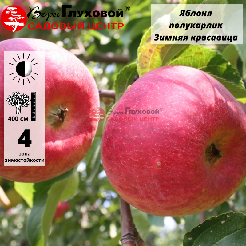 Основное изображение товара