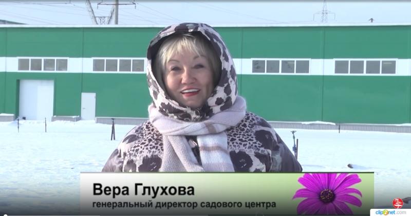 69 сортов гортензий ОКС собственного производства