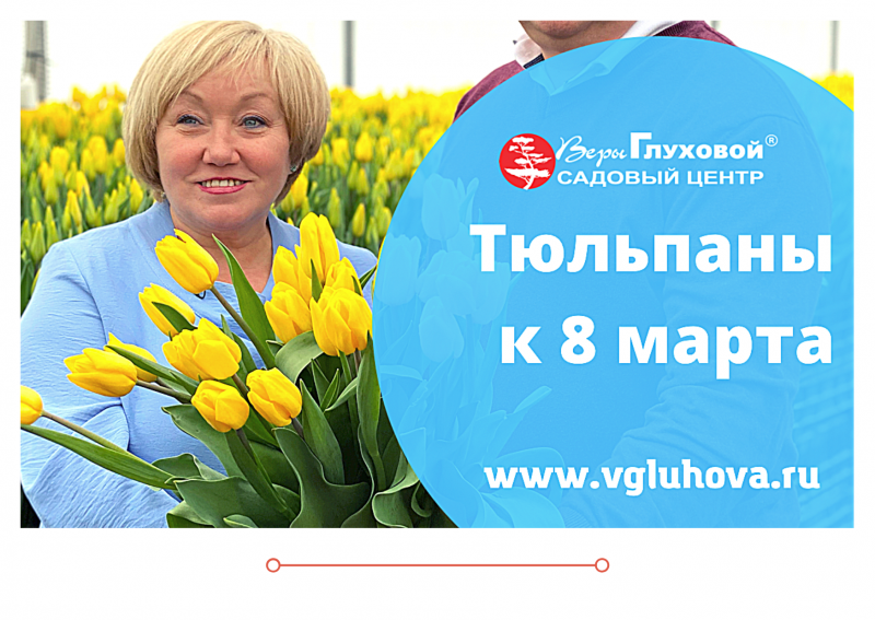 В продажу поступили тюльпаны