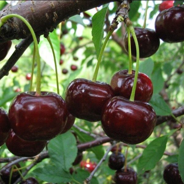 Рисунок 21.jpg