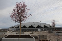 Озеленение Самара - Арены