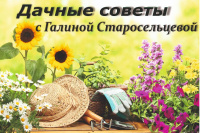 Дачные Советы снова на канале ТРК ТЕРРА