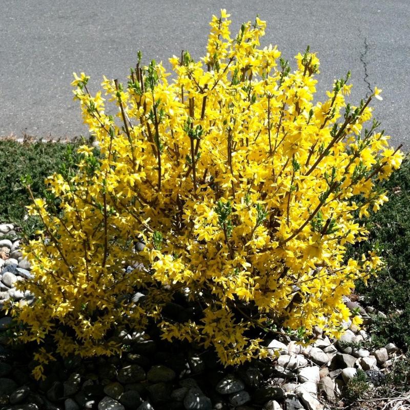 Основное изображение товара
