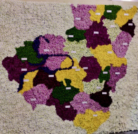 Хризантемы для Зелёной недели в Берлине