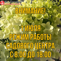 Режим работы 1 июля