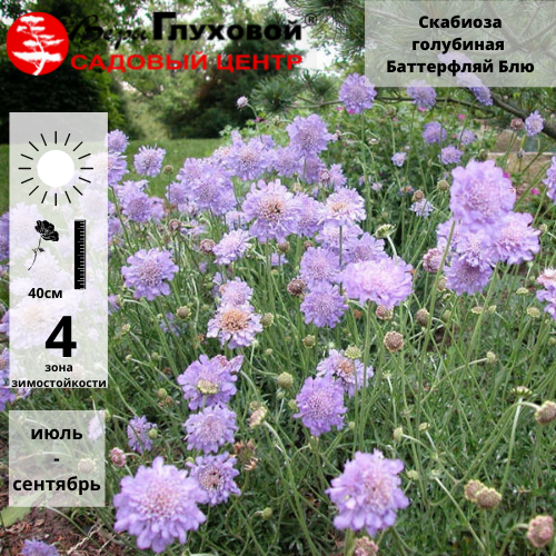 Основное изображение товара