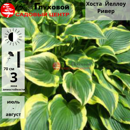 Основное изображение товара