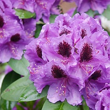 Основное изображение товара