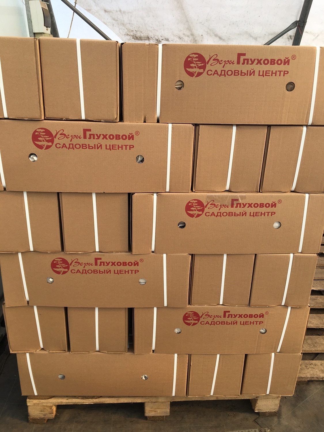 Началась отгрузка заказов