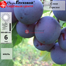 Основное изображение товара