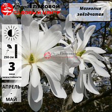 Основное изображение товара