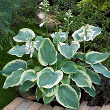 Основное изображение товара