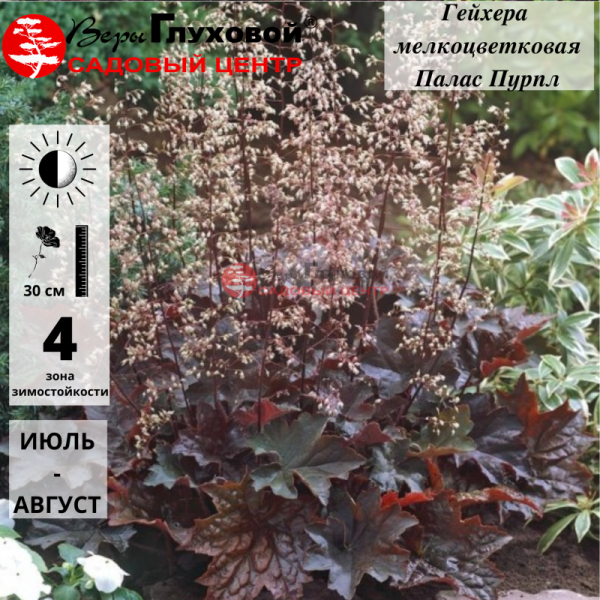 Основное изображение товара