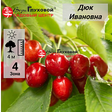 Основное изображение товара