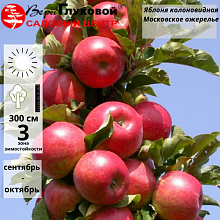 Основное изображение товара