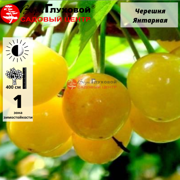 Основное изображение товара