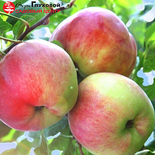 Основное изображение товара