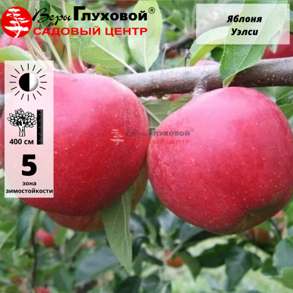 Рисунок 328.jpg