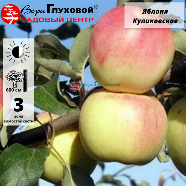 Основное изображение товара